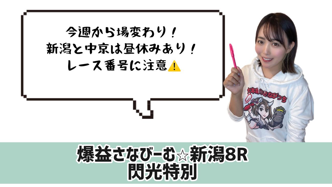 レース番号にはくれぐれも注意！