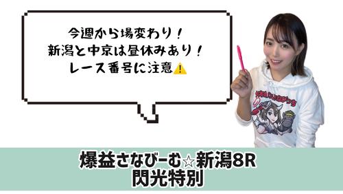 レース番号にはくれぐれも注意！