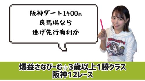 阪神12Ｒ　的中のポイント