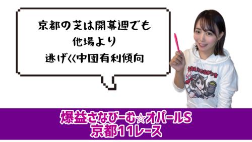 オパールS的中のポイント