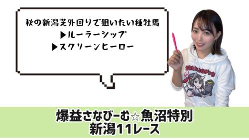 魚沼S的中のカギ