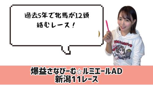 ルミエールAD 的中のカギ