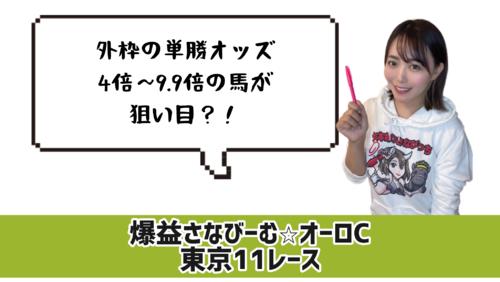オーロC的中のカギ