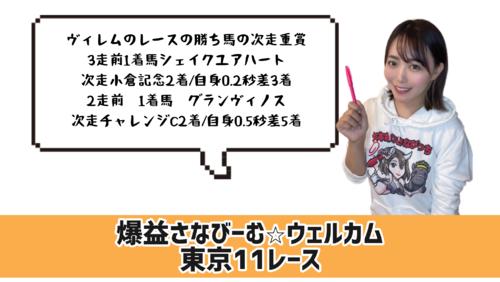 ウェルカムS的中のポイント