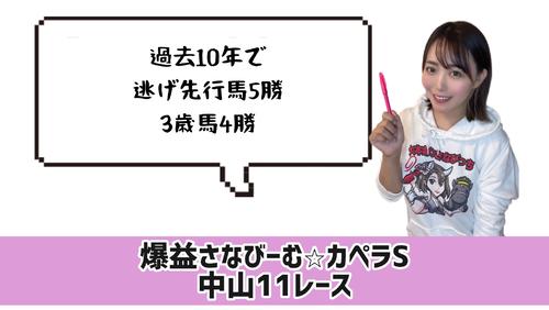 カペラＳ的中のポイント