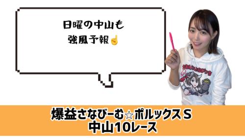ポルックスSのポイント