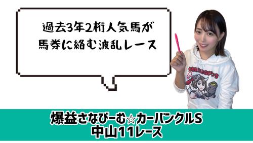 カーバンクルＳ　的中のカギ