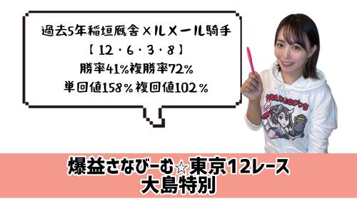 大島特別、的中のポイント