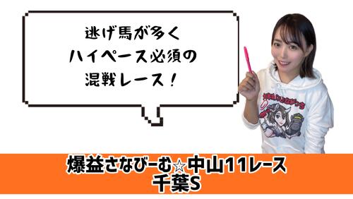 千葉S　的中のカギ