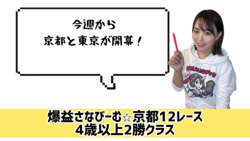 京都12Ｒ　的中のポイント