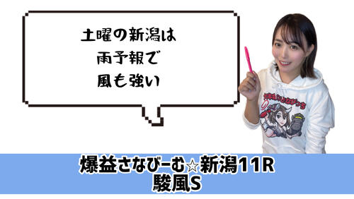 駿風S的中のカギ