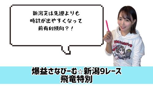 飛竜特別　的中のカギ