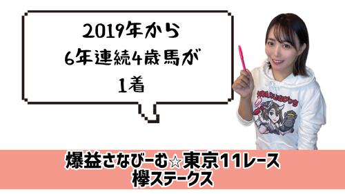 欅Ｓ　的中のカギ