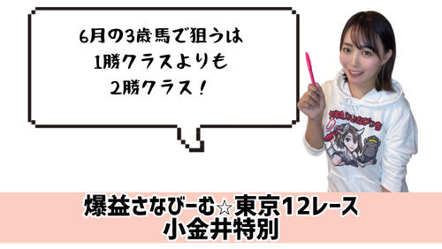 小金井特別　的中のカギ