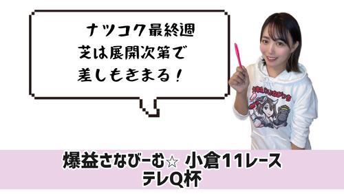 テレＱ杯　的中のポイント