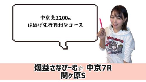 関ケ原S　的中のポイント