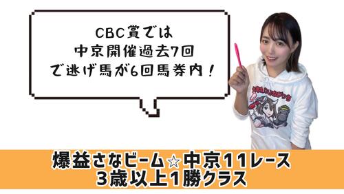 中京11Rのポイント