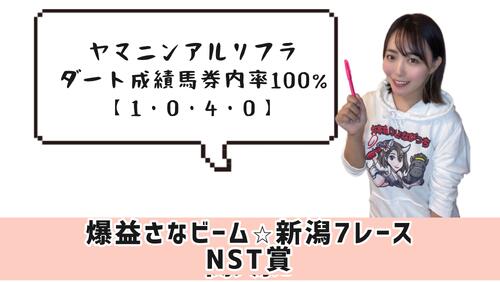 NST賞はヤマニンアルリフラから