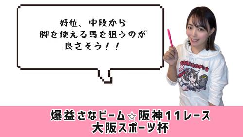 大阪スポーツ杯のポイント