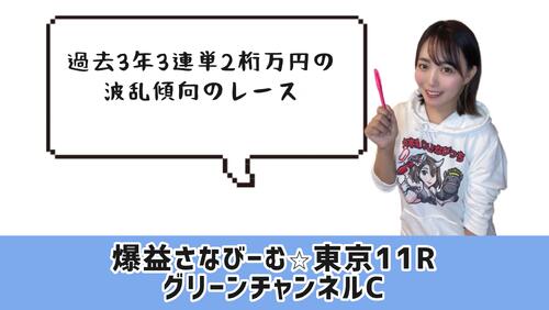 グリーンチャンネルCのポイント