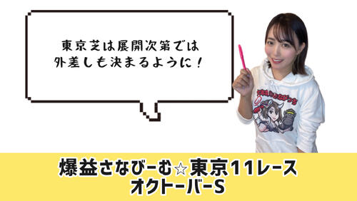 オクトーバーS的中のカギ