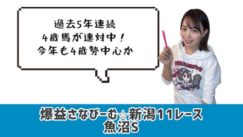 魚沼S的中のカギ