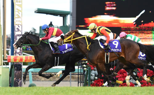 15年有馬記念、ゴールドアクター（左）に敗れ2着のサウンズオブアース