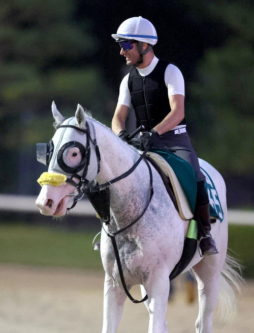 M・デムーロ騎手を背に運動するシュネーグロッケン（2024年8月14日撮影）