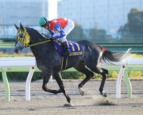 昨年の東京大賞典に出走したミューチャリーと御神本騎手