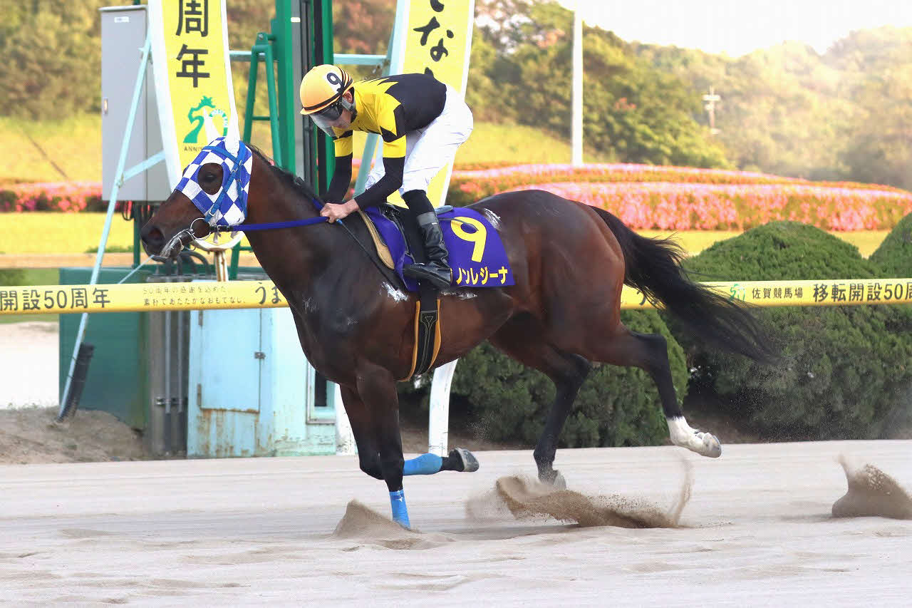 22日、佐賀ヴィーナスCを制したダノンレジーナと本橋騎手（佐賀県競馬組合提供）