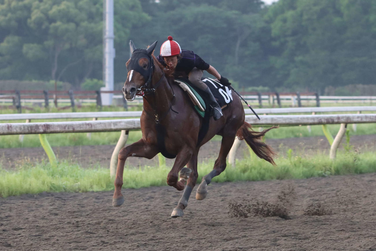 東京ダービーに向けた最終追い切りでいっぱいに追われるイルヴェント