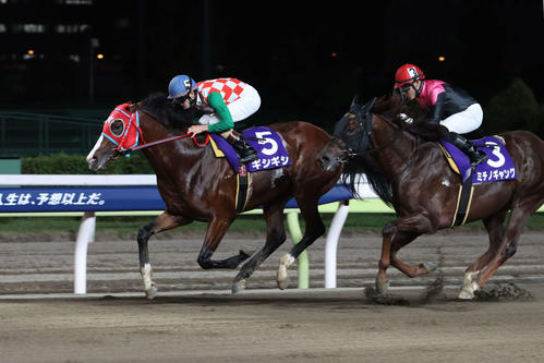 ミチノギャング（右）を半馬身差で退け、メトロポリタンメイCを制したギシギシと矢野貴之騎手