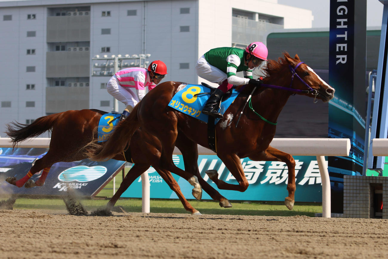6月17日川崎1R、ゴール手前で抜け出し新馬戦を制したオリコウキングと今野忠成騎手