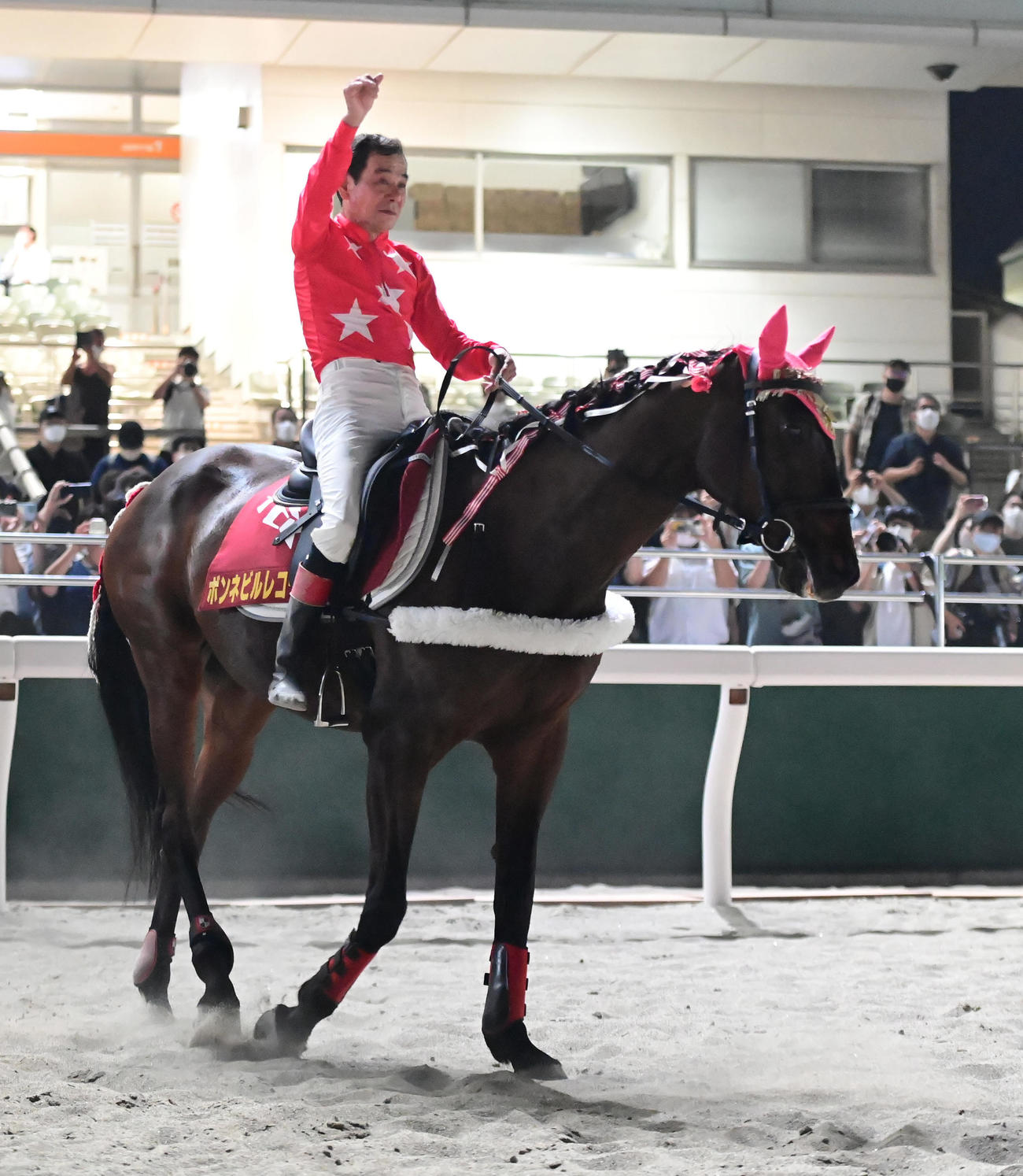 大井競馬場の誘導馬を引退したボンネビルレコード