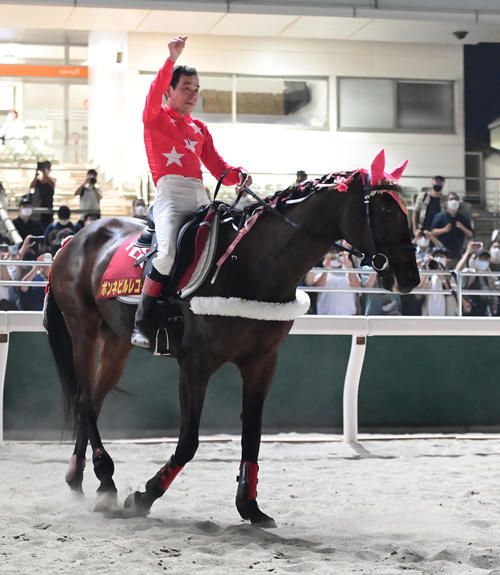 大井競馬場の誘導馬を引退したボンネビルレコード