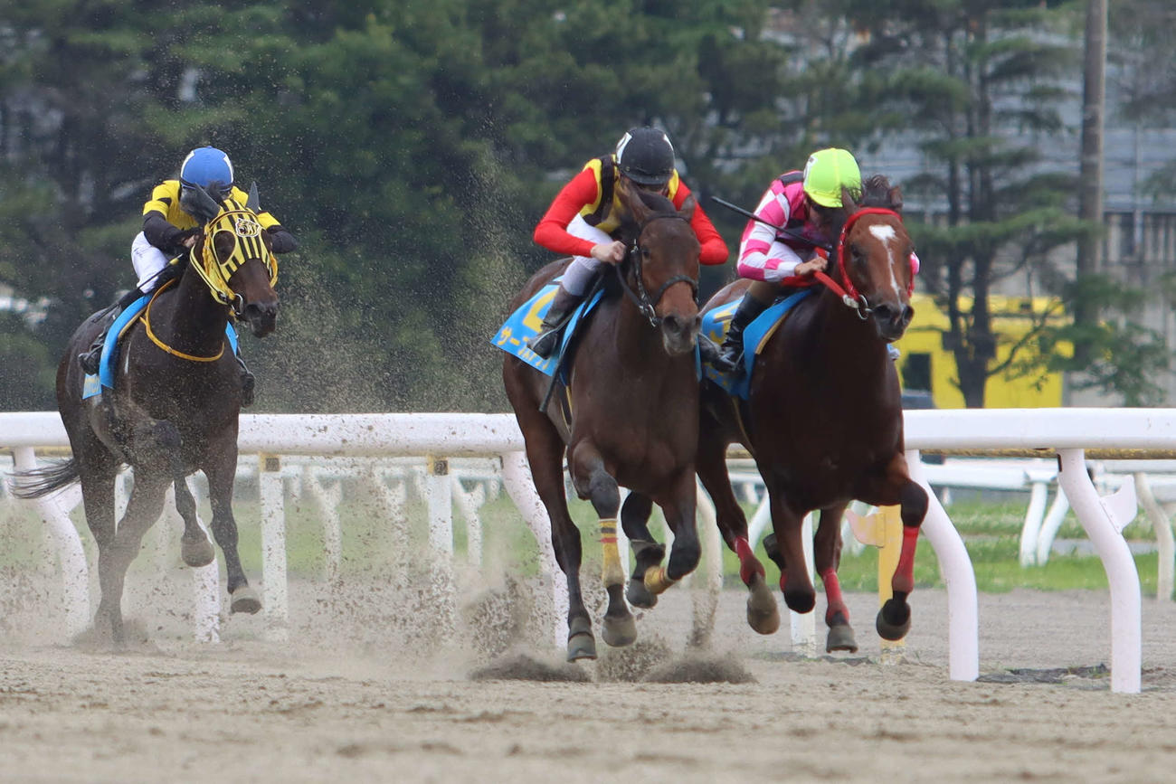 6月23日、船橋2Rの新馬戦、直線でサーフズアップ（中央）に並ばれながらも鼻差で競り勝ったハーモニーロワ（右）。左は3着のワガママナビジン