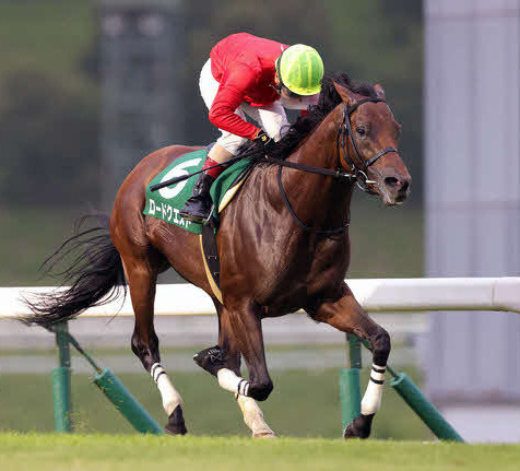 昨年のせきれい賞を制したロードクエスト（岩手県競馬組合提供）