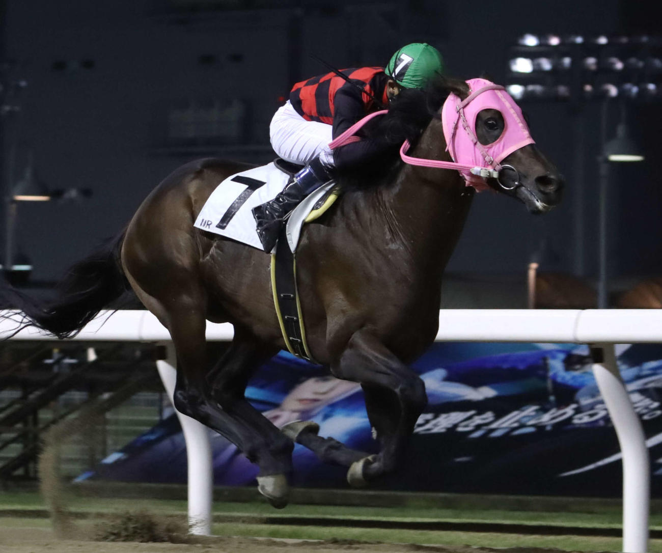 前走6馬身差で圧勝したニヨドスマイル
