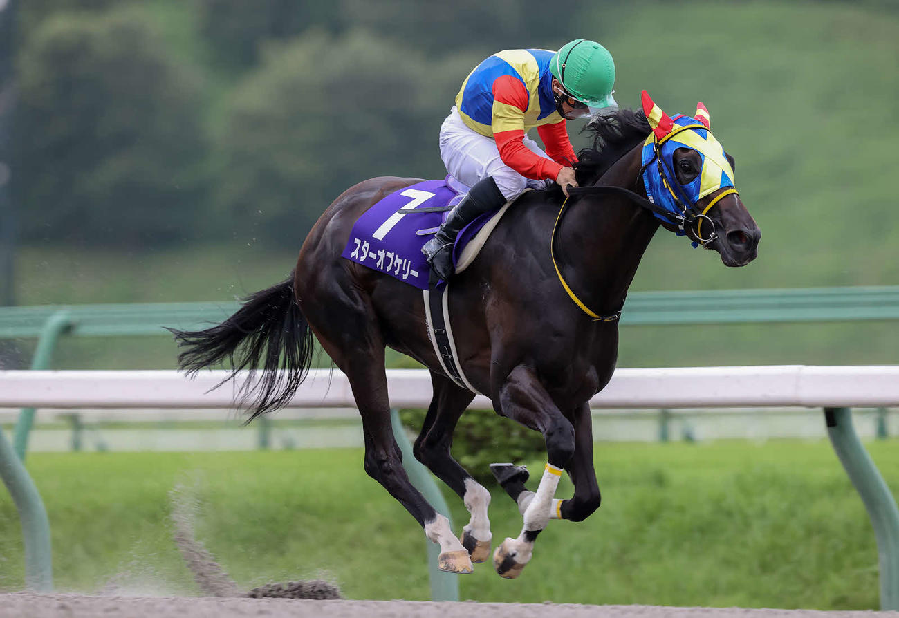 ハヤテスプリントを制したスターオブケリーと山本政聡騎手（岩手県競馬組合提供）