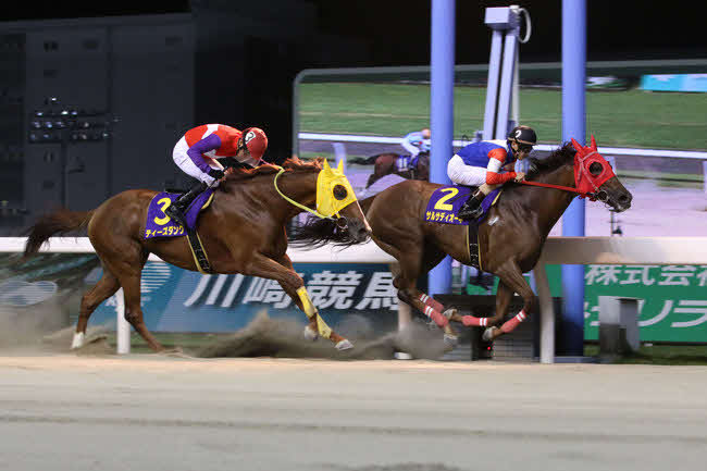昨年の日刊スポーツ賞スパーキングサマーCを制したサルサディオーネ（右）