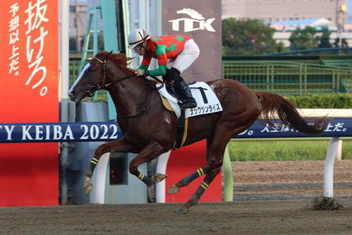1200メートル最速タイムを記録したナックサンライズ