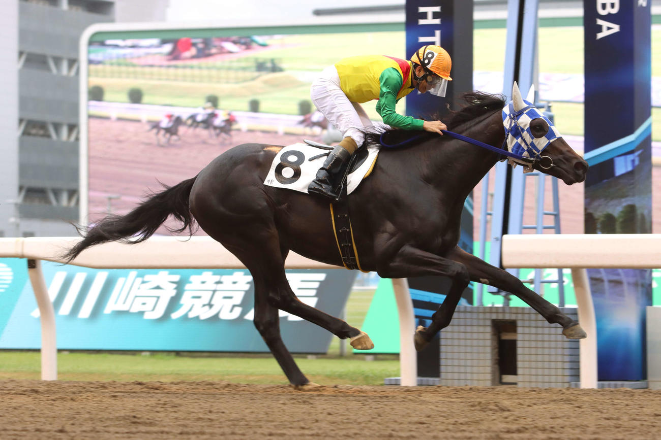 7月5日、川崎4Rシャイニングスター賞を制したヒーローコール