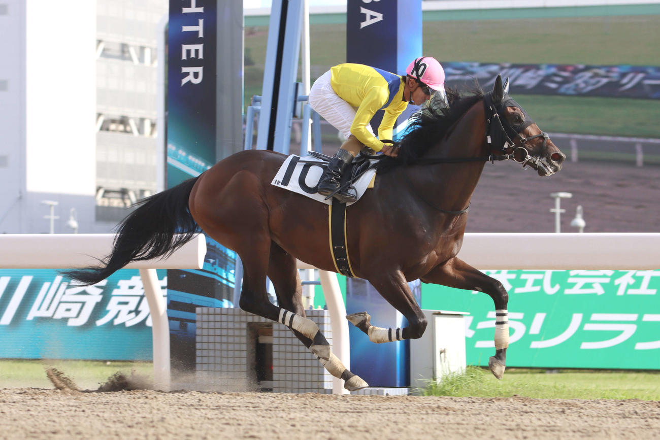デビュー戦を快勝したプリーミー