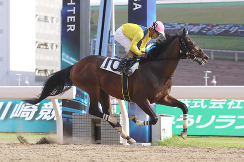 デビュー戦を快勝したプリーミー