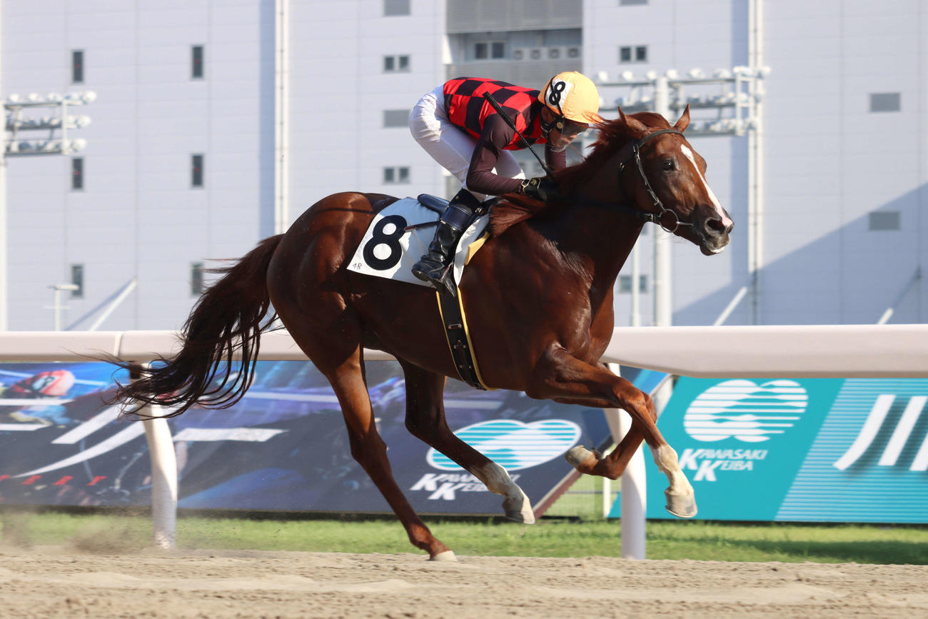 こだま賞で抜け出したグリーリーと古岡勇樹騎手