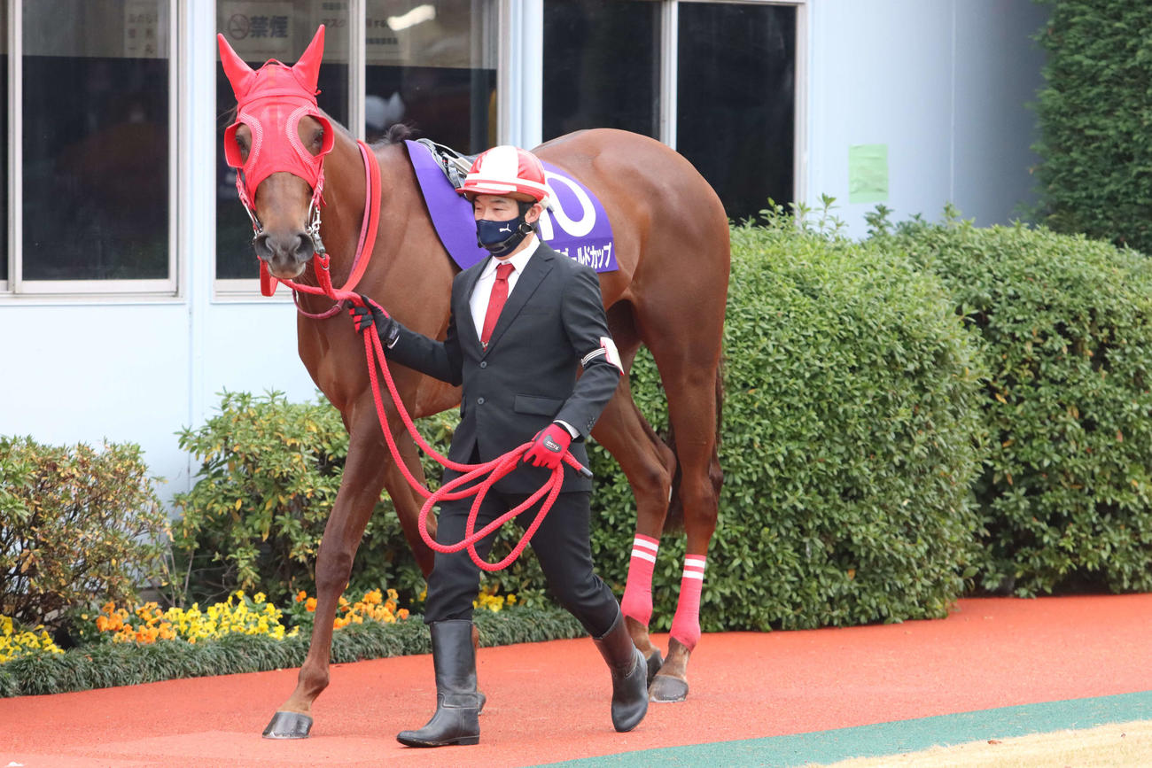 3年連続女王に輝いたサルサディオーネ