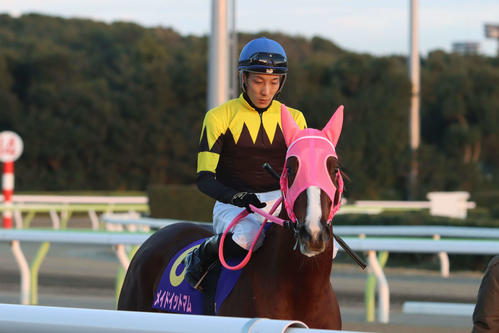 本馬場に入場するメイドイットマムと本橋孝太騎手