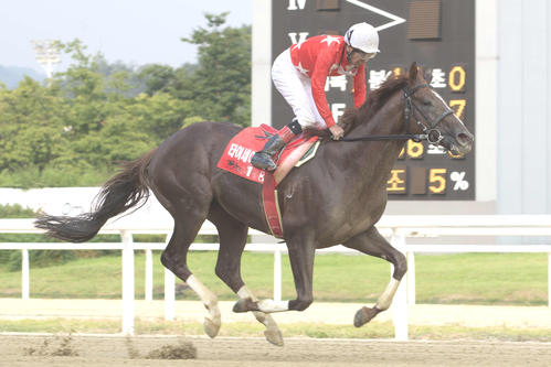 15年、ソウル競馬場で行われたアジアチャレンジCに出走した9着のタイセイレジェンドと的場文男騎手