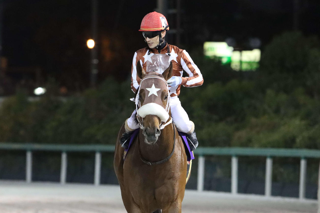 セイカメテオポリスはオグリキャップ記念に向かう
