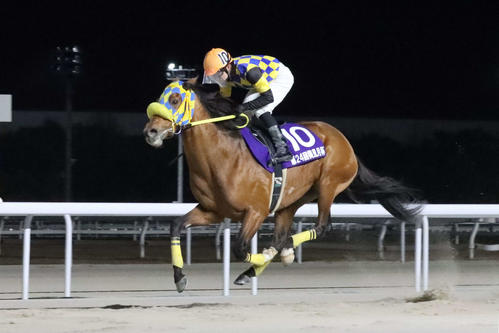 2月、馬群をさばき4コーナーで内を突いて伸びたタカジョーと和田譲治騎手が梅見月杯を制覇（愛知県競馬組合提供）